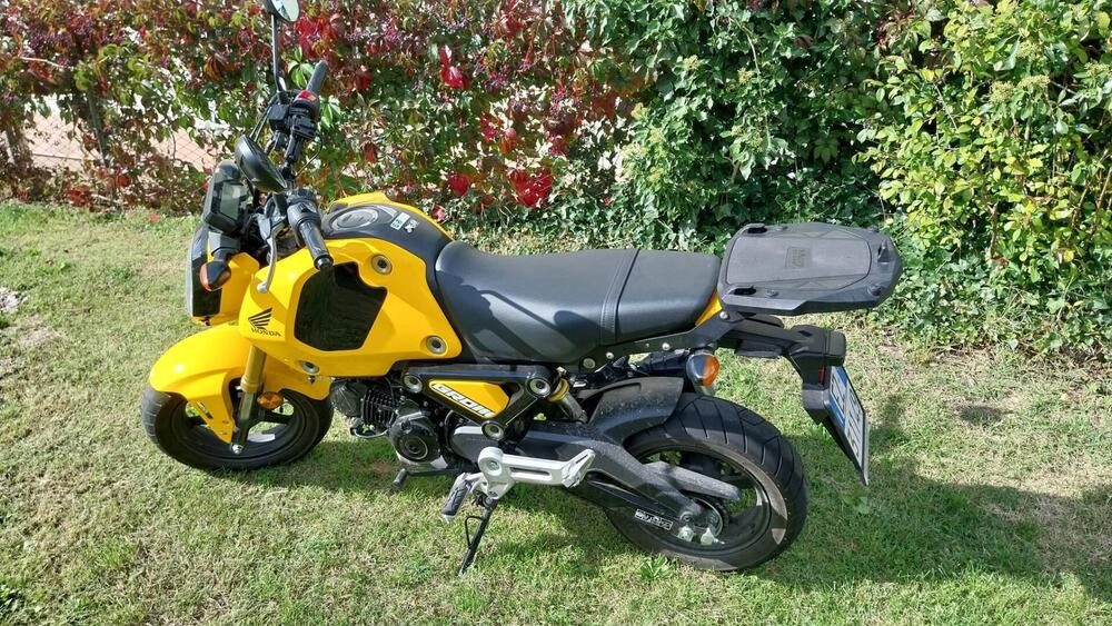 Honda MSX 125 Grom (2021 - 24) (4)