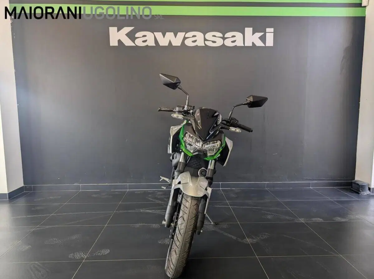Kawasaki Z e-1 (2024 - 26) (3)