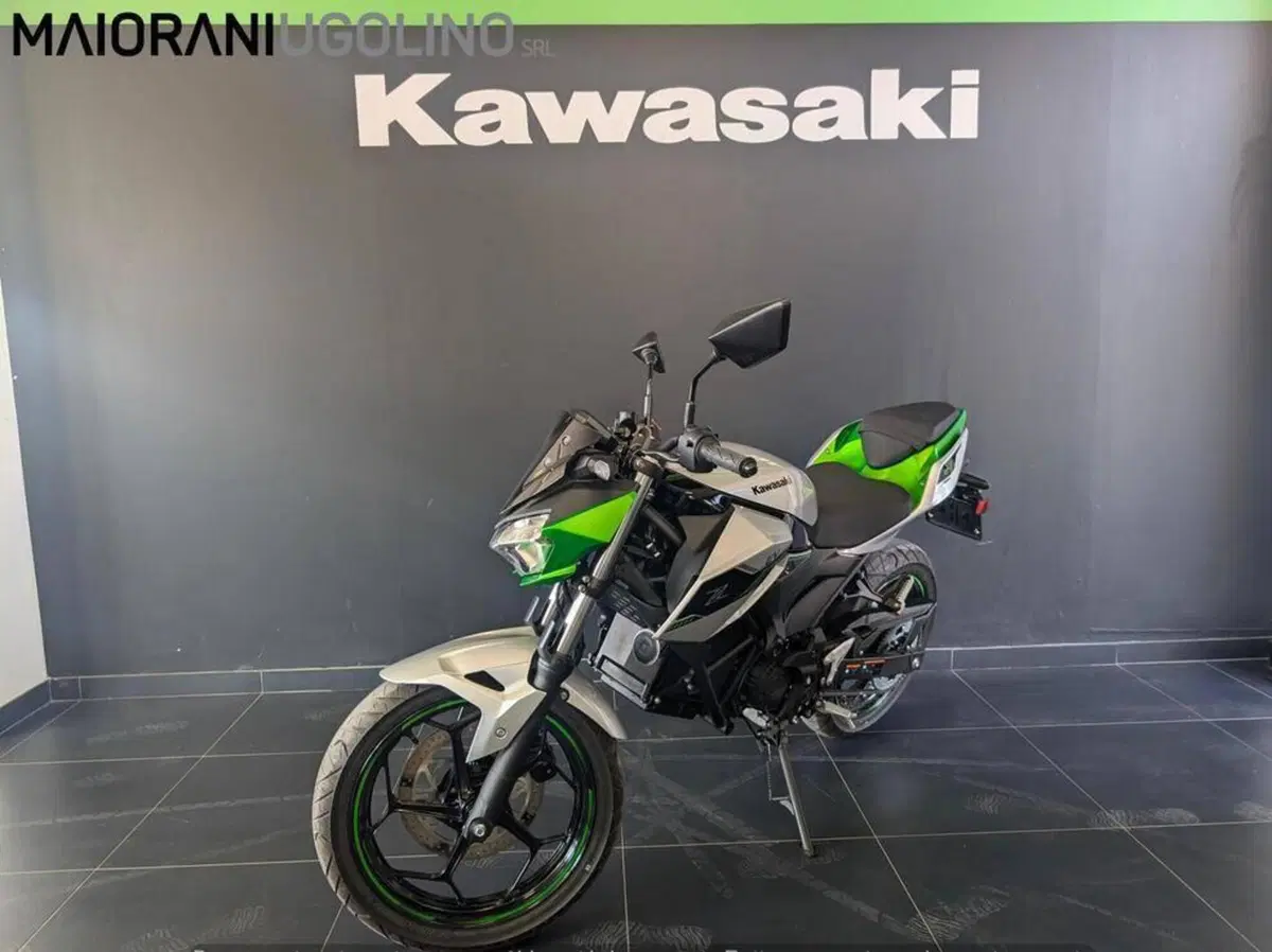 Kawasaki Z e-1 (2024 - 26) (4)