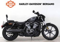 Harley-Davidson Nightster (2023 - 24) usata