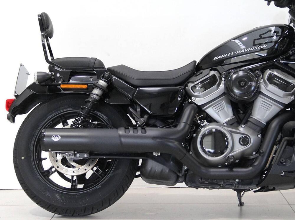 Harley-Davidson Nightster (2023 - 24) (3)