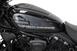 Harley-Davidson Nightster (2023 - 24) (16)