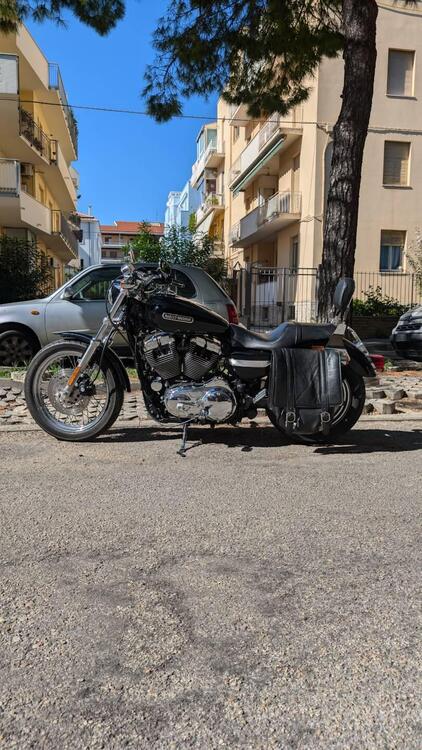 Harley-Davidson 1200 Low (2006 - 07) - XL 1200L (2)