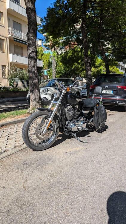 Harley-Davidson 1200 Low (2006 - 07) - XL 1200L (4)