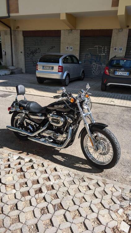 Harley-Davidson 1200 Low (2006 - 07) - XL 1200L