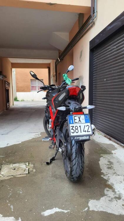 Benelli BN 125 (2021 - 24) (4)