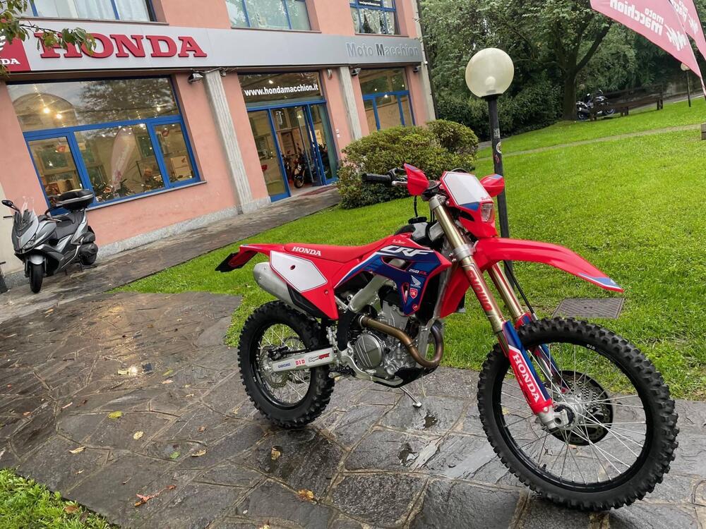 Honda CRF 250 RX Enduro (2023) (4)