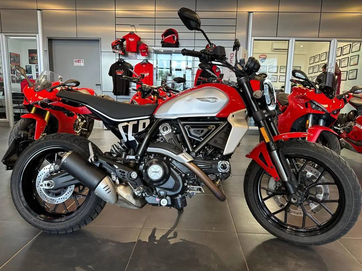 Ducati Scrambler 800 Icon (2023 - 24) (2)