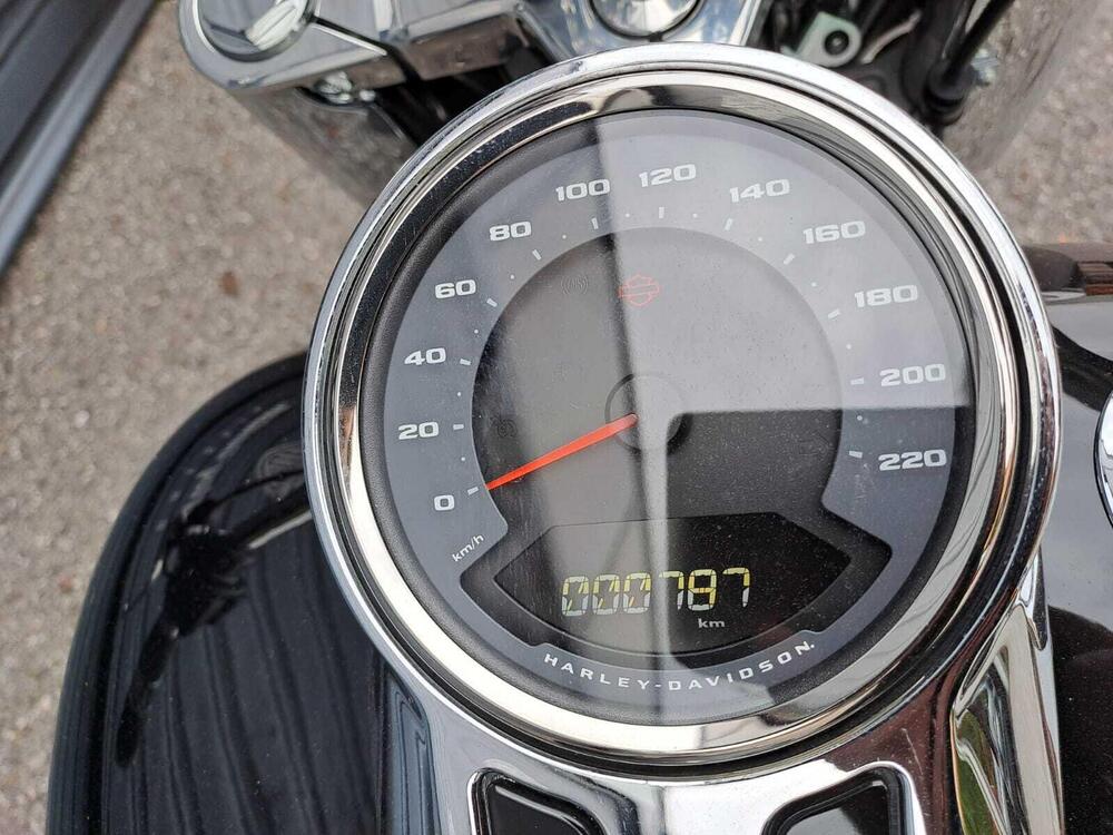 Harley-Davidson Fat Boy 114 (2021 - 24) (4)