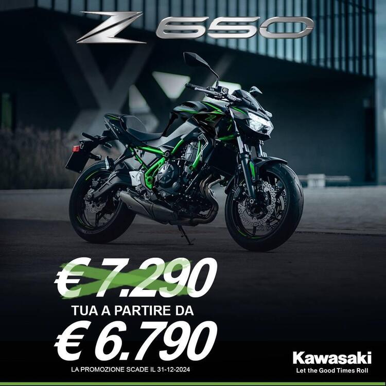 Kawasaki Z 650 (2021 - 25) (5)