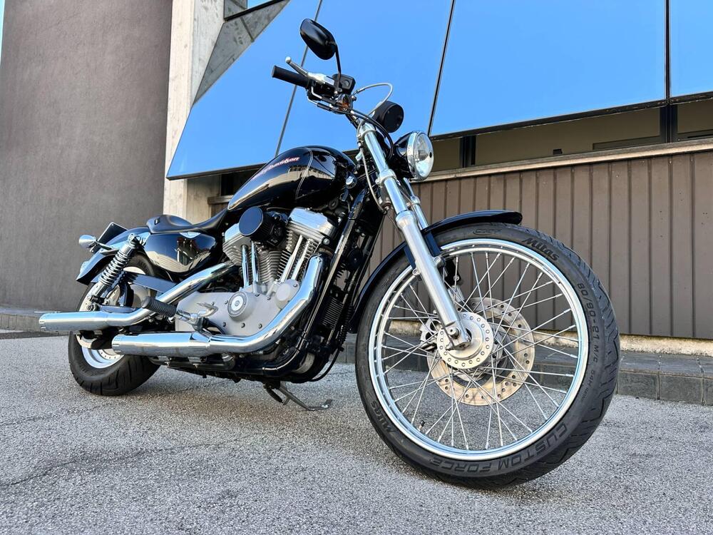 Harley-Davidson 883 Custom (2006 - 07) - XL 883C (4)