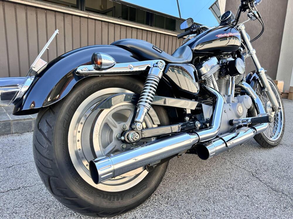 Harley-Davidson 883 Custom (2006 - 07) - XL 883C (5)