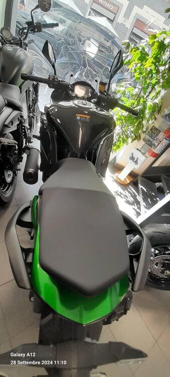 Kawasaki Ninja 1000 SX (2021 - 24) (2)