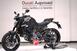 Ducati Monster 937 + (2021 - 24) (7)