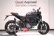 Ducati Monster 937 + (2021 - 24) (15)