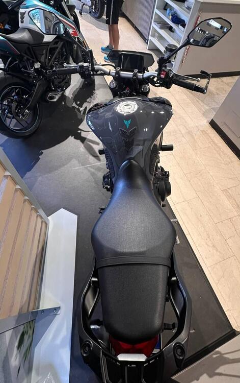 Yamaha MT-09 (2021 - 23) (4)