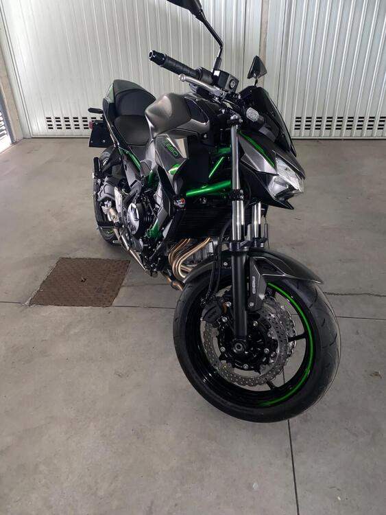 Kawasaki Z 650 (2021 - 25) (4)