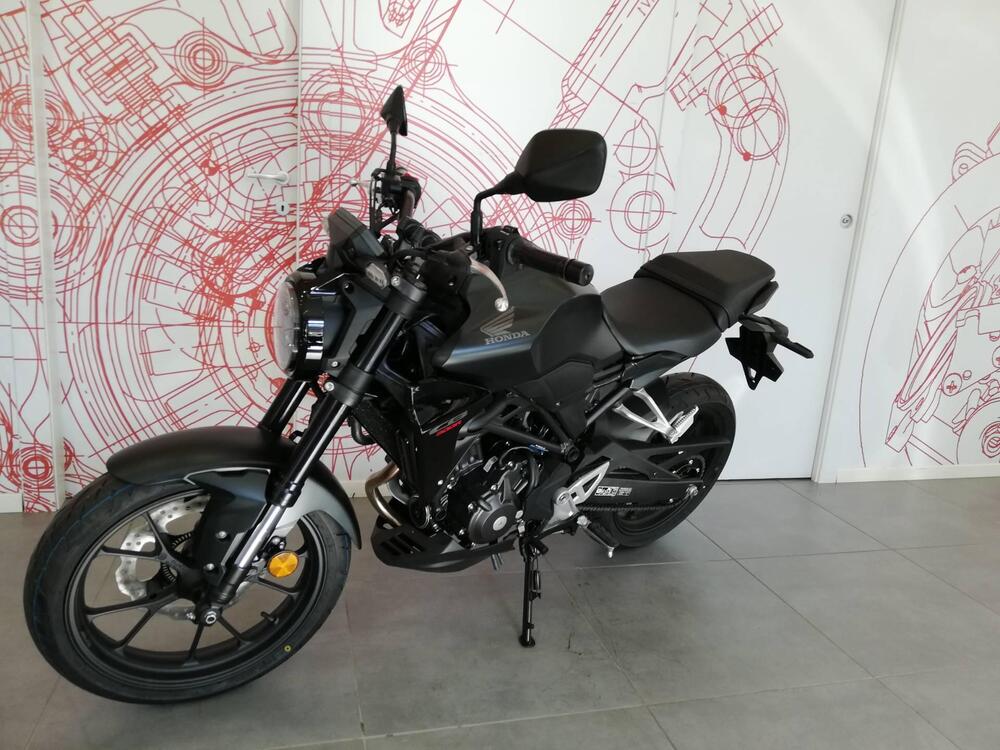 Honda CB 300 R (2022 - 24) (5)