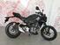 Honda CB 300 R (2022 - 24) (6)