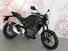 Honda CB 300 R (2022 - 24) (14)