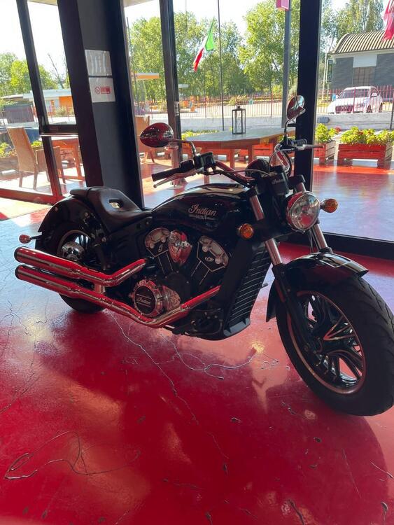 Indian Scout (2021 - 24)