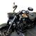 Harley-Davidson 114 Road King Special (2019 - 20) - FLHR (8)