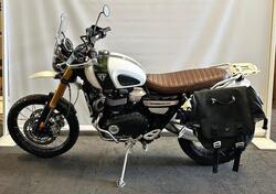 Triumph Scrambler 1200 XE (2019 - 20) usata