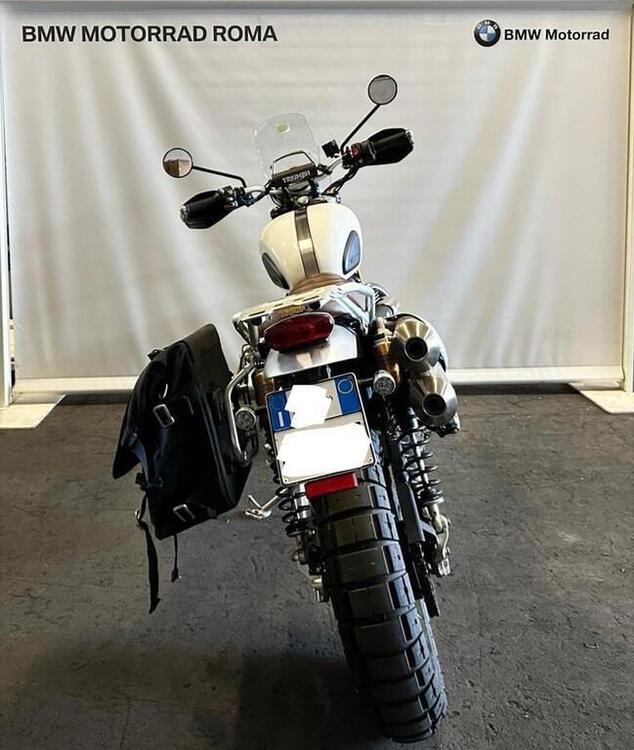 Triumph Scrambler 1200 XE (2019 - 20) (4)