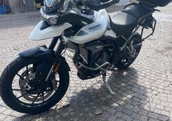 Triumph Tiger 900 GT Pro (2020 - 23) usata