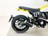 Ducati Scrambler 800 Icon (2023 - 24) (6)