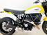 Ducati Scrambler 800 Icon (2023 - 24) (8)