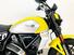 Ducati Scrambler 800 Icon (2023 - 24) (10)