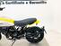 Ducati Scrambler 800 Icon (2023 - 24) (18)