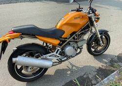 Ducati Monster 600 (1994 - 02) usata