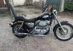 Harley-Davidson 1200 (1988 - 96) - HLX usata