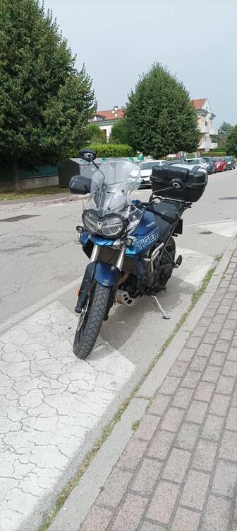 Triumph Tiger 800 XRt (2018 - 20) (3)