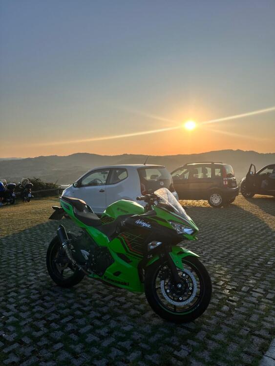 Kawasaki Ninja 400 (2023) (3)