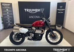 Triumph Scrambler 1200 X (2024) usata