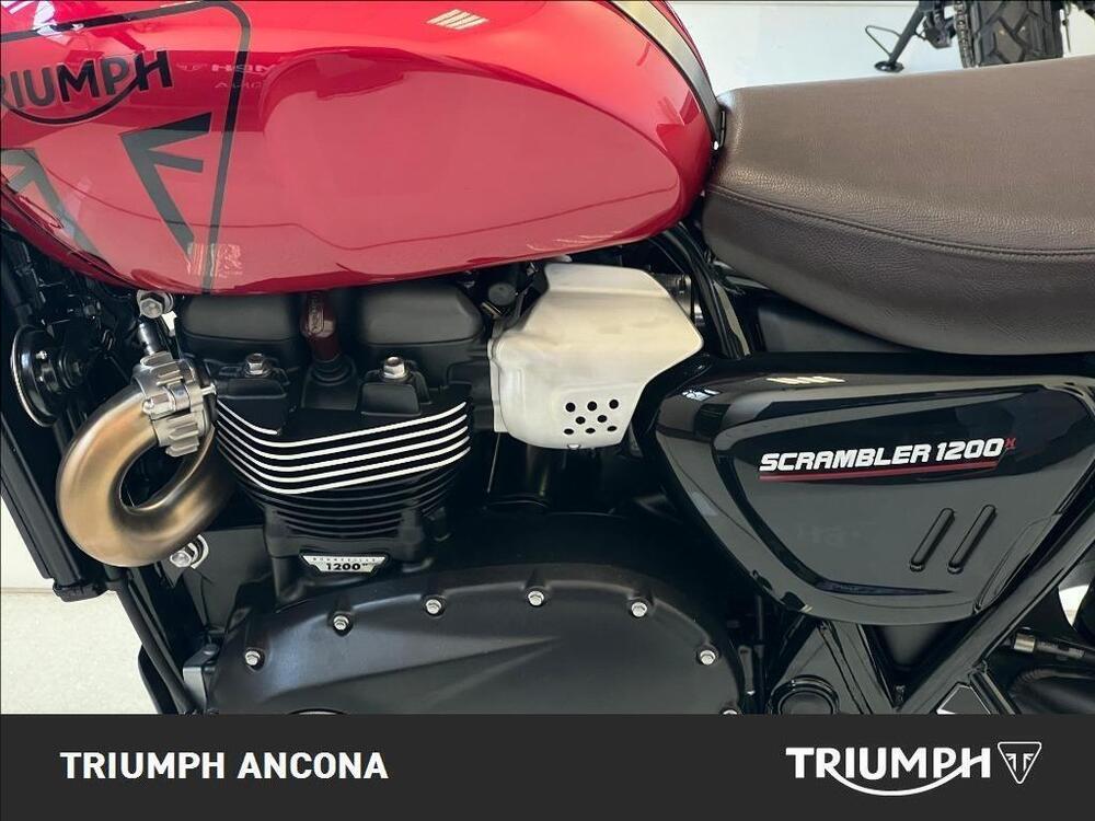 Triumph Scrambler 1200 X (2024) (3)