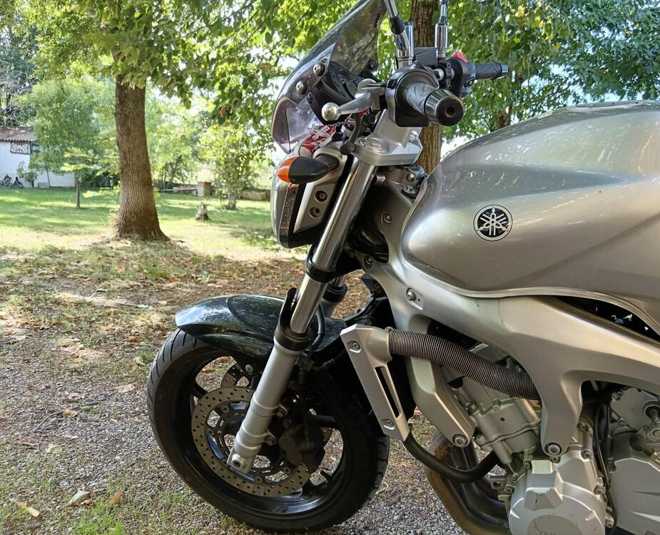 Yamaha FZ6 (2004 - 07) (2)