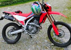 Honda CRF 300 L (2021 - 24) usata