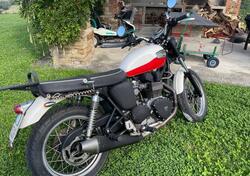 Triumph Scrambler (2006 - 17) usata