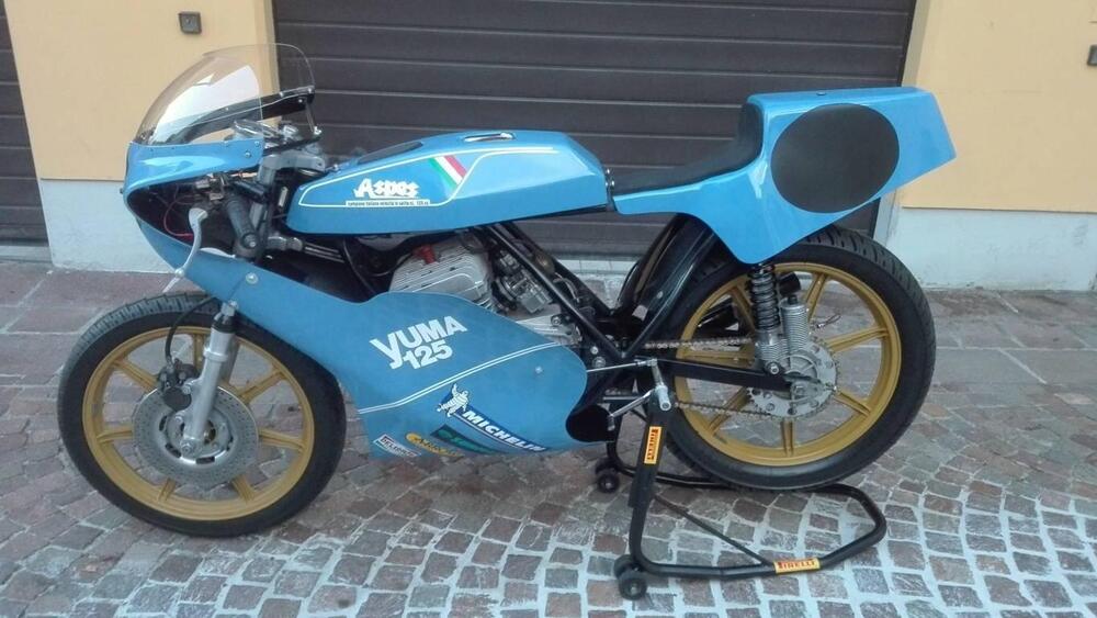 Aspes Aspes Yuma 125 competizione 1976 (2)