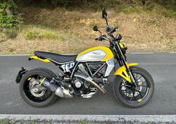 Ducati Scrambler 800 Icon (2023 - 24) usata