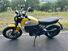 Ducati Scrambler 800 Icon (2023 - 24) (6)