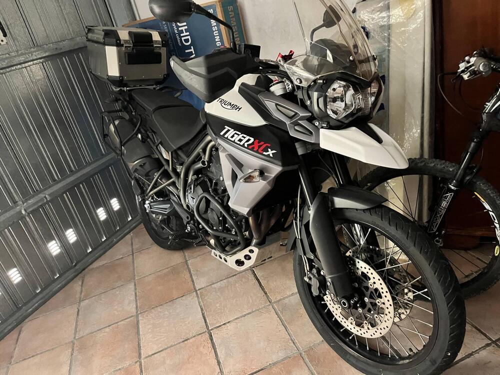 Triumph Tiger 800 XCx (2015 - 17) (2)