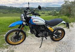 Ducati Scrambler 800 Desert Sled (2021 - 22) usata