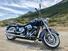 Harley-Davidson 1690 Deluxe ABS (2011 - 16) - FLSTN (11)