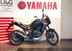 Honda Transalp XL750 (2023 - 24) usata