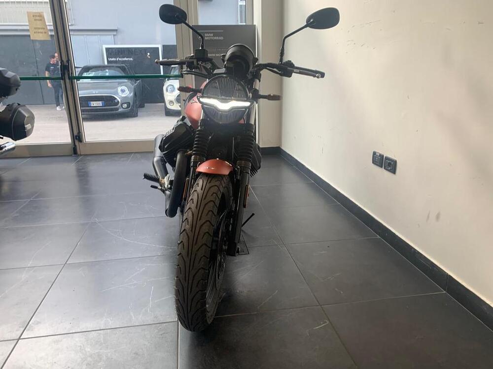 Moto Guzzi V7 Stone (2021 - 24) (5)